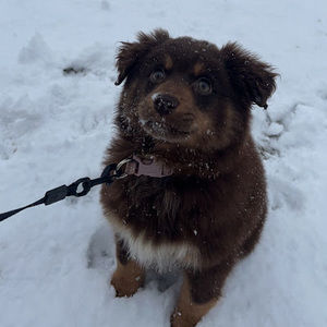 Meet your Posher, Brooke